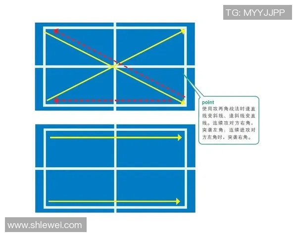 北京乒乓球队进攻战术解析与未来发展趋势探讨