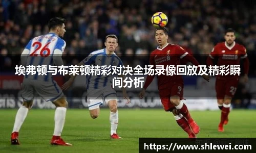埃弗顿与布莱顿精彩对决全场录像回放及精彩瞬间分析
