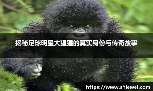 bwin必赢官网